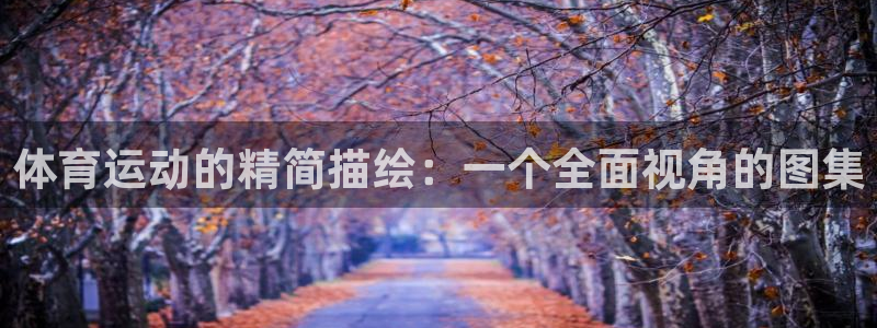 谈球吧体育官网