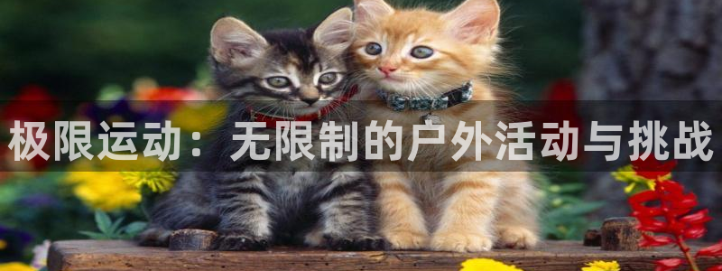 谈球吧