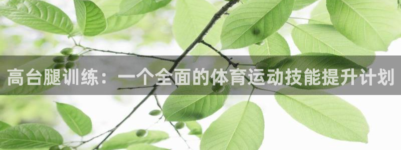 谈球吧体育官网