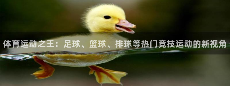 谈球吧